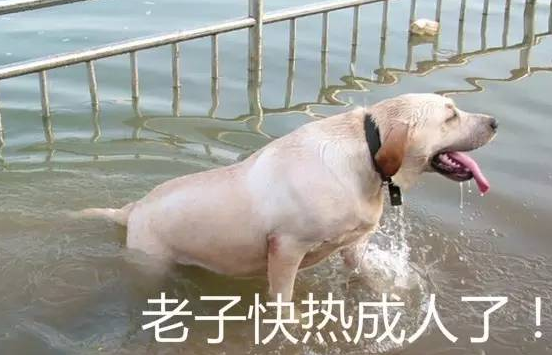 夏天好热的说说