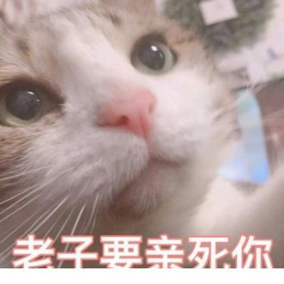 微信情侣签名一男一女简短 微信签名简单
