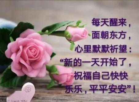 新的一周祝福语给客户