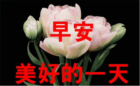 新的一周祝福语给客户