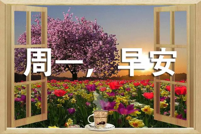 新的一周开始的问候图片 新的一周开始的问候语