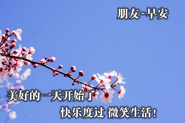 新的一周开始的问候图片 新的一周开始的问候语
