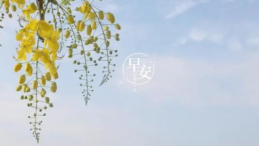 新的一周开始的问候图片 新的一周开始的问候语