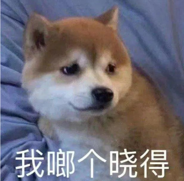 可爱沙雕的句子简短 超级有趣的文案