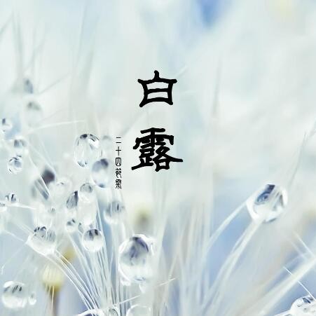关于白露的说说 适合白露发的说说句子