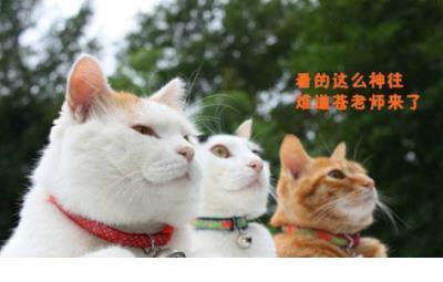 形容一个人的奇葩搞笑语句 个性签名励志经典短句