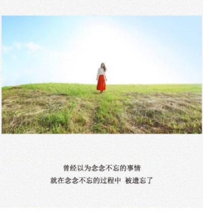 关于奉献爱心的句子 关于爱心的话