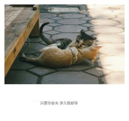 每日最新发微信励志短句 微信朋友圈短句