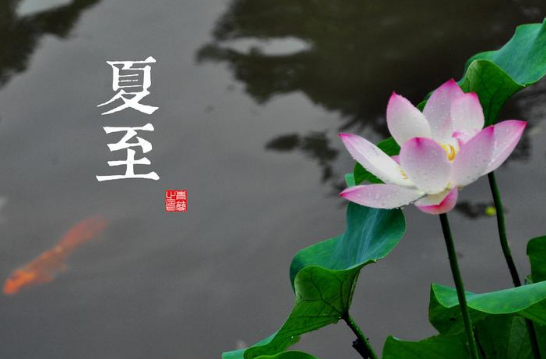 2021夏至节日祝福语大全 夏至节气的微信祝福语