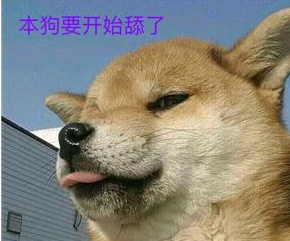 舔狗文案句子 舔狗专用句子