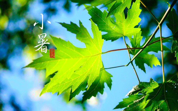 小暑节气的文艺句子