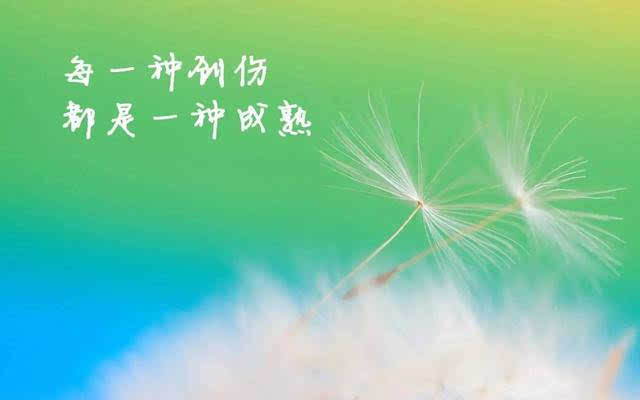 清晨雨后的唯美句子