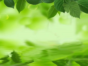 用绿叶抒发心情的唯美句子