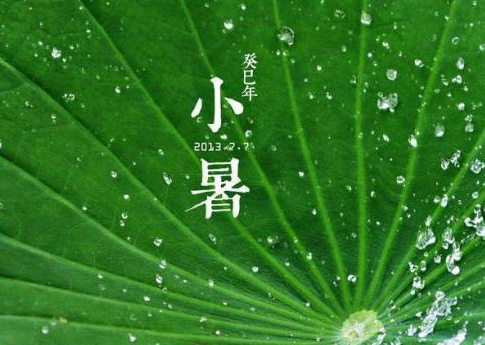 小暑文案简短