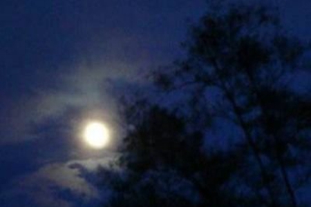 夜晚月色迷人的句子，晚上看夜景发朋友圈的说说