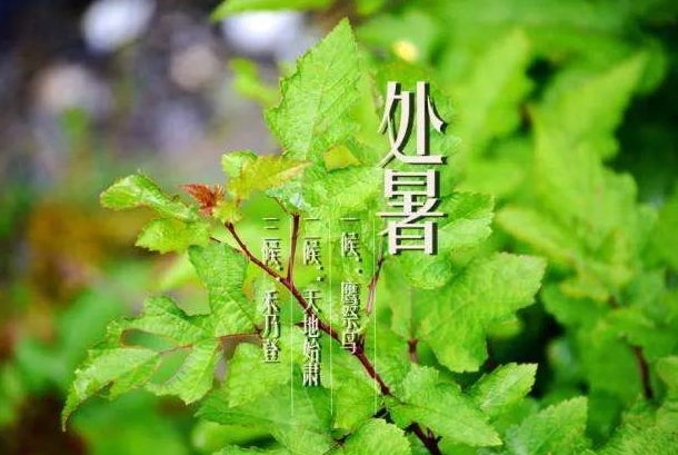 描写处暑的优美句子