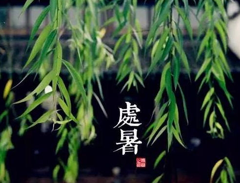 描写处暑的优美句子