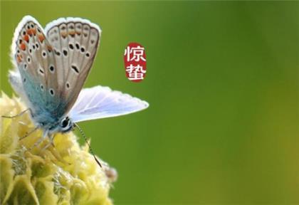 社会说说超霸气超拽 励志霸气说说大全
