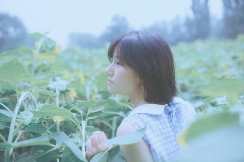 发朋友圈人气暴涨的文案 高情商有内涵的心情句子(精选29句)