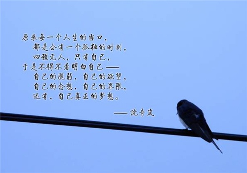 命运是掌握在自己的手里的句子(30句)