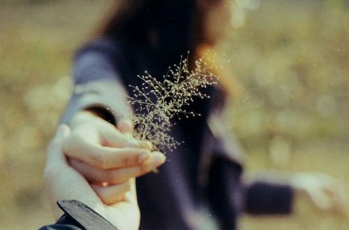 离婚伤感句子说说心情