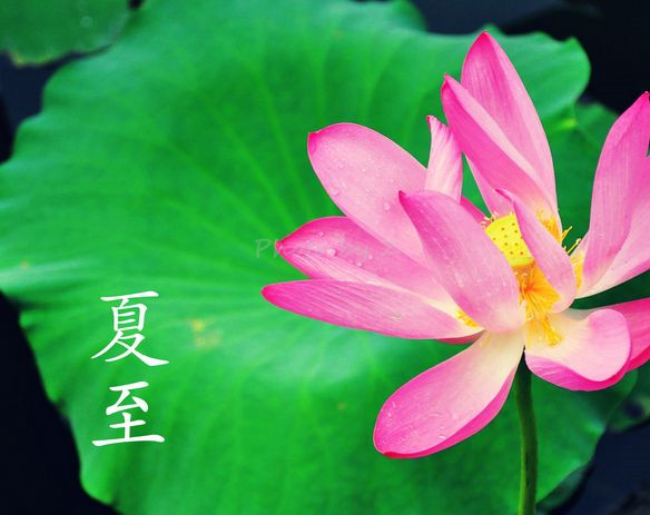 2021夏至很有创意的朋友圈 夏至发的个性朋友圈文案