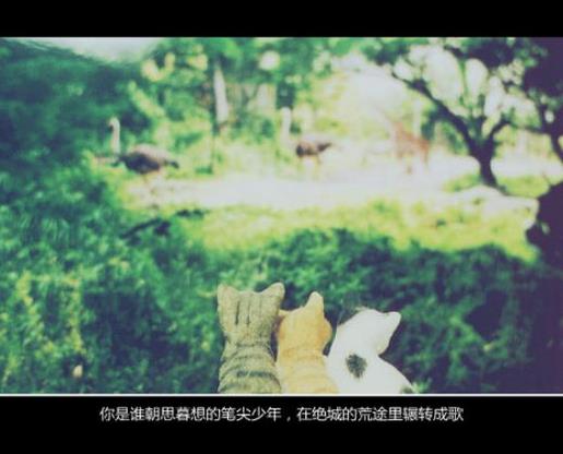 适合女生发的霸气句子 最适合发说说的句子