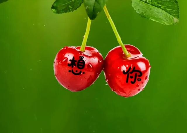 有一种爱叫梦里有你情感文案(关于遇见的文案)