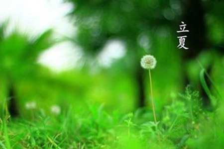 2022立夏祝福短信，简短的节气问候语句子