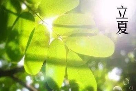 2022立夏祝福短信，简短的节气问候语句子