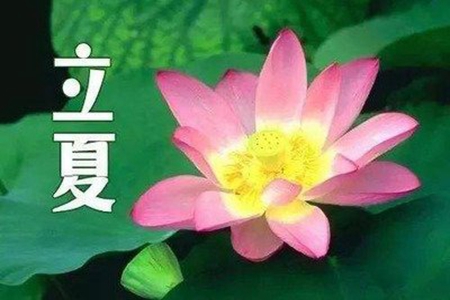 2022立夏祝福短信，简短的节气问候语句子