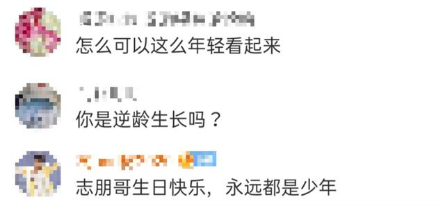 陈志朋八卦文案励志(陈志朋和陈冲)