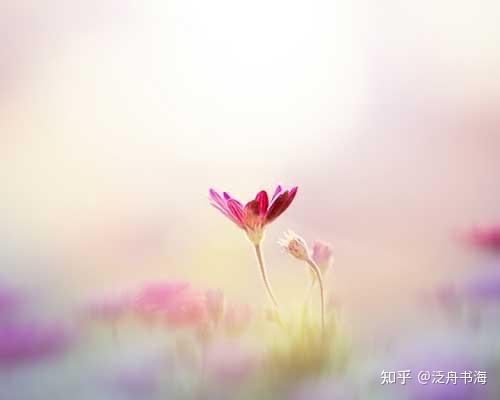 影评|《阿甘正传》：有趣的人在一起，就/才会无/有趣