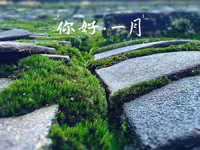 12月再见一月你好的心情说说(精选36句)