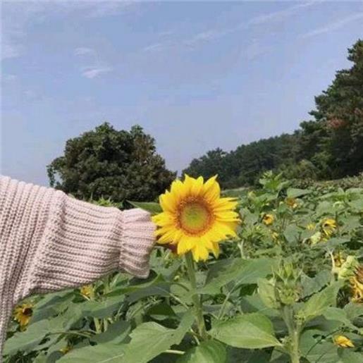 鼓励疫情的祝福语2022年