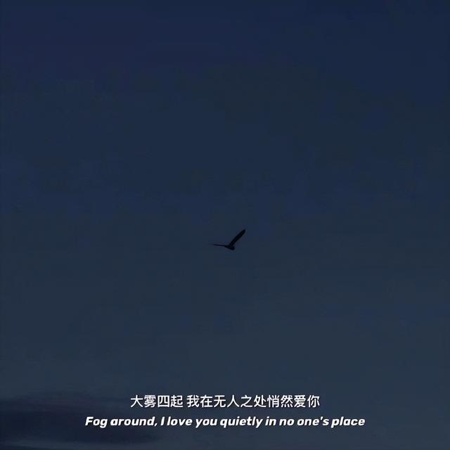 情感治愈系文案馆(超级温柔干净的文案)