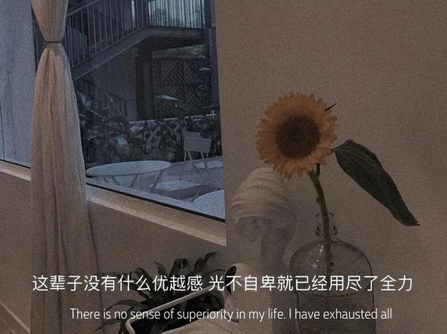 情感治愈系文案馆(超级温柔干净的文案)