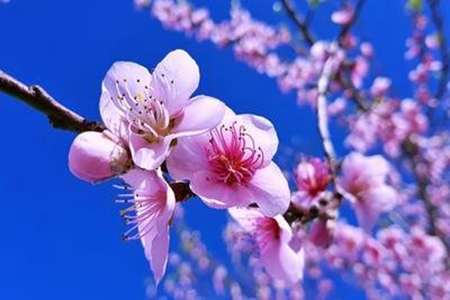 2月结束3月开始的唯美说说，迎接新日子的心情语录