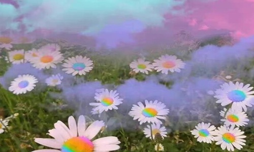 祝愿未来可期的句子 有文化内涵又高雅的字祝福语