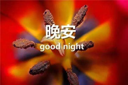 励志鼓励说说致自己 高考倒计时励志的说说
