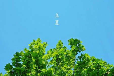 2022年立夏祝福语大全，适合短信群发的问候句子