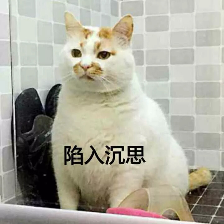 可爱的朋友圈文案 可爱有意思的句子
