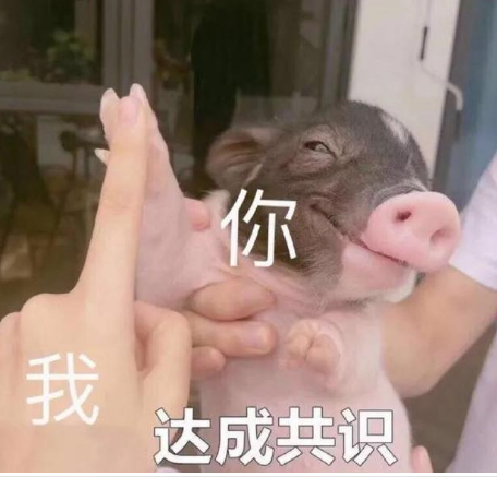 关于消除烦恼的沙雕文案