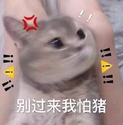 关于消除烦恼的沙雕文案