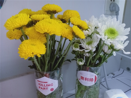 赞美秋菊的经典句子(精选31条)