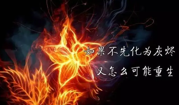 正能量句子励志短句了 励志短句致自己奋斗