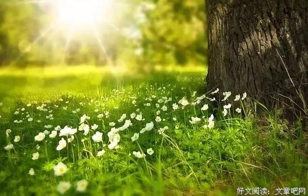 学霸少女堕江湖：当年我爸死因成谜