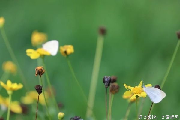 多一份真诚，多一份欢喜
