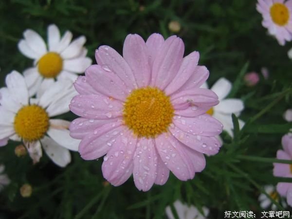 等（经典好文！）