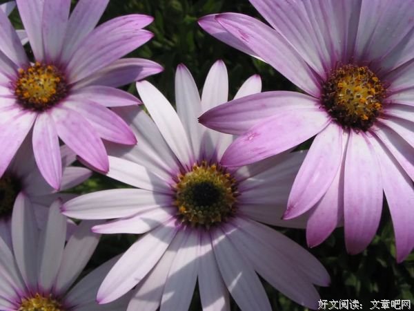 等（经典好文！）